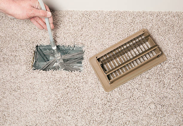 Best Air Duct Mold Removal  in Milan, TN