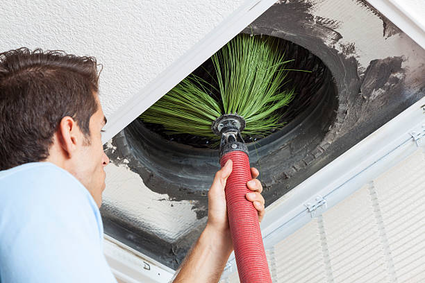 Best Professional Duct Cleaning Services  in Milan, TN